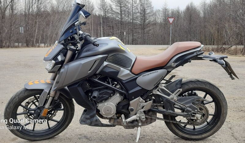 Regulmoto Alien Monster 300, 2020