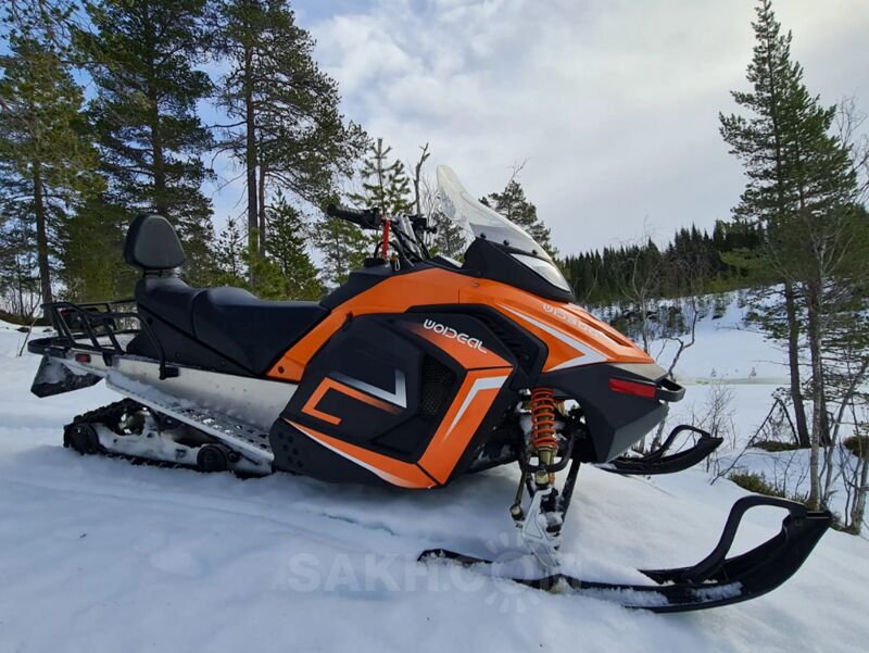 Woideal WD 300, 2025