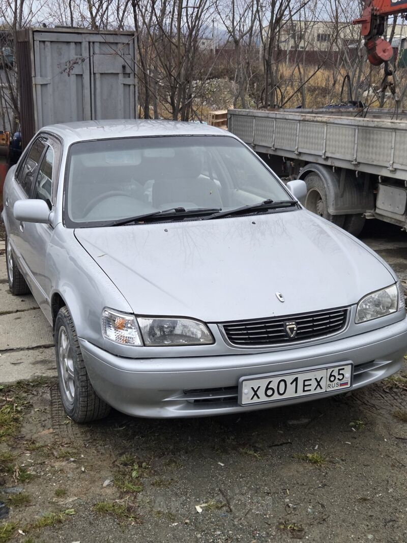 Toyota Corolla, 2000