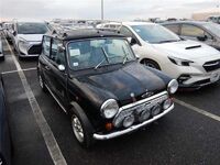 Mini Rover, 1991