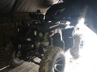 Tiger Max 300, 2020
