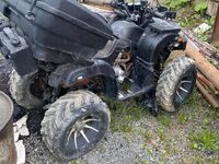 Tiger Max 300, 2020