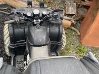 Tiger Max 300, 2020