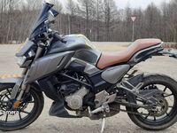 Regulmoto Alien Monster 300, 2020