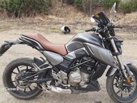 Regulmoto Alien Monster 300, 2020