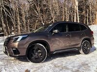 Subaru Forester, 2021