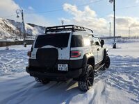 Toyota FJ Cruiser, 2010