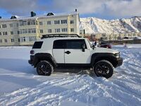 Toyota FJ Cruiser, 2010