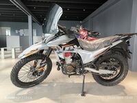 Regulmoto TE PRO NB300, 2025