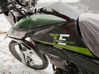 Regulmoto TE PR300, 2025