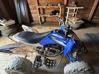 ATV 250, 2014