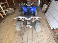 ATV 250, 2014