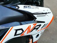 SSSR DNA 300, 2025