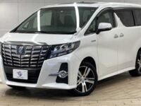 Toyota Alphard, 2015