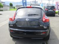 Nissan Juke, 2013