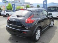 Nissan Juke, 2013