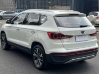Jetta VS5, 2024