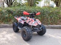 Raptor New 125, 2025