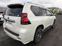 Toyota Land Cruiser Prado, 2019