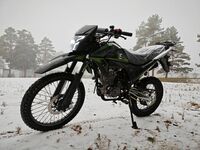 Regulmoto TE (PR300 175FMN), 2025