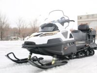 Stels Viking V800 CVTech 2.0 SWT Beaver, 2025