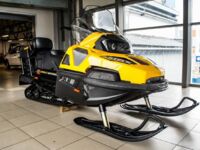 Stels Viking V800 2.0, 2025