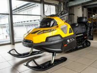 Stels Viking V800 2.0, 2025