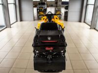 Stels Viking V800 2.0, 2025