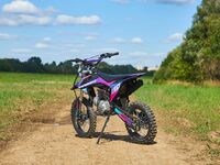 Sharmax Sport 190 Miami, 2025