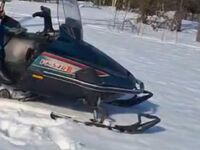 Yamaha Viking VK540 III, 2010