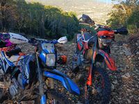 Regulmoto ZR, 2024