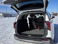 Kia Carnival, 2024