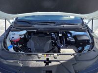 Kia Carnival, 2024