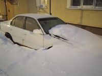 Toyota Corolla, 1994