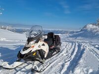 BRP Lynx 49 Ranger ST 900 ACE, 2017