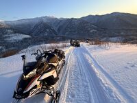 BRP Lynx 49 Ranger ST 900 ACE, 2019