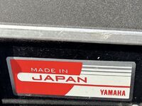 Yamaha Viking Professional II, 2019