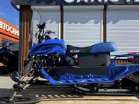 Irbis Dingo T200, 2026