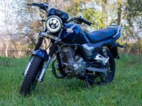 Regulmoto SK200-6, 2026