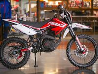 Progasi Smart Max 150, 2026