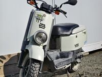 Yamaha VOX, 2018