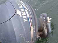 Yamaha 40 VETOL, 2020