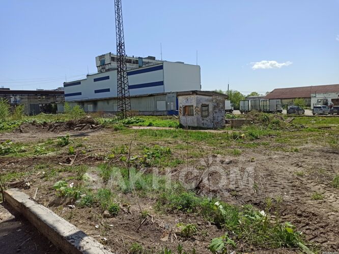 Фото из объявления