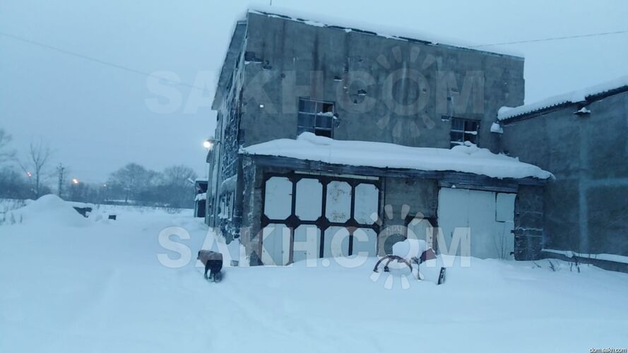 Фото из объявления