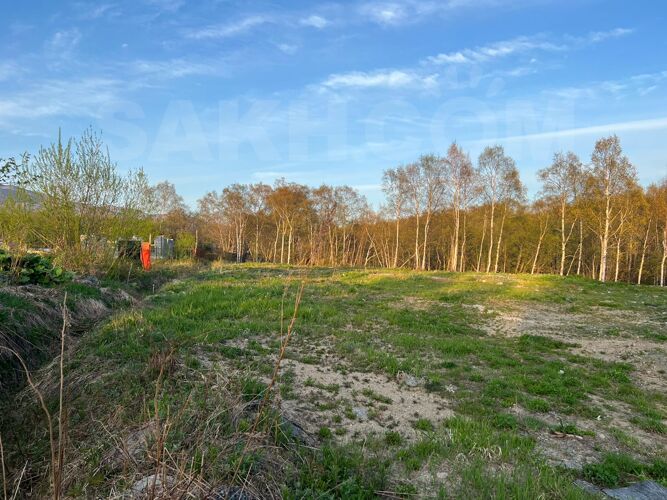 Фото из объявления