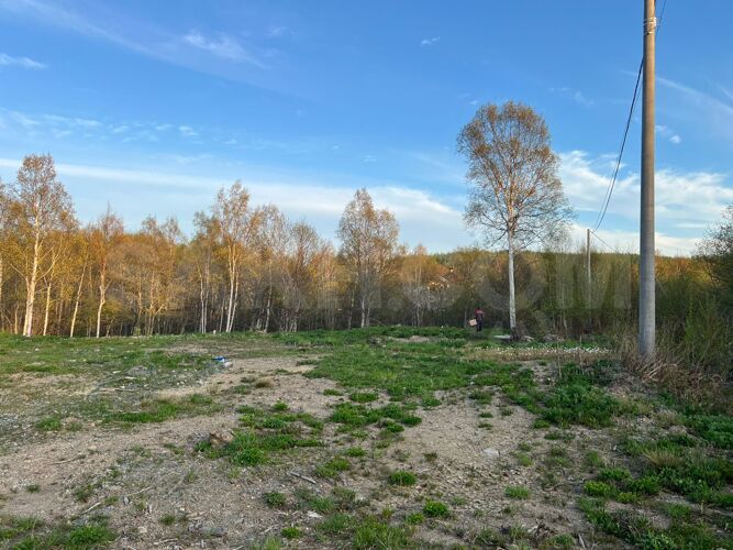 Фото из объявления