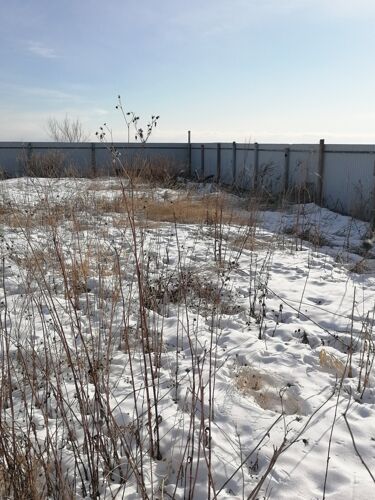 Фото из объявления