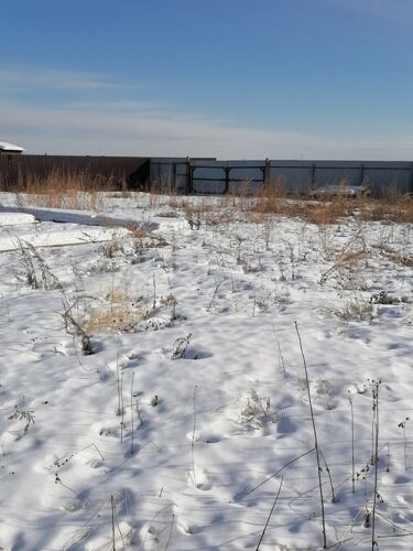 Фото из объявления