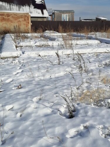 Фото из объявления