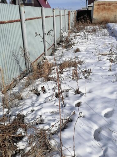 Фото из объявления